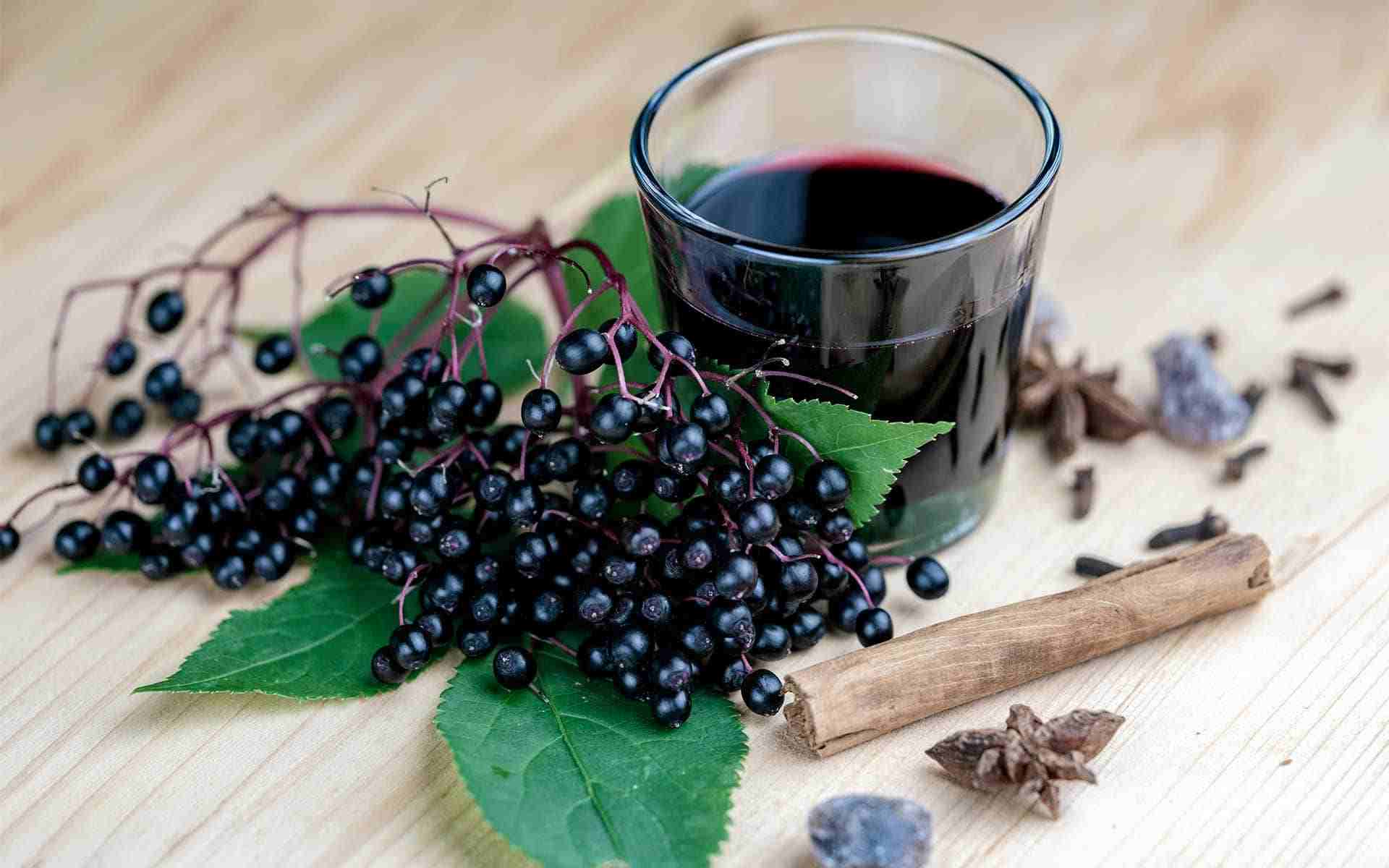 elderberry for allergies: natural relief from seasonal allergies